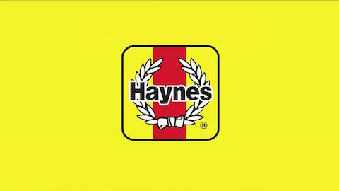 Haynes