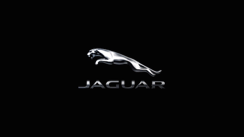 Jaguar - Alive